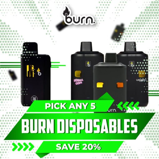 Burn Disposable vapes