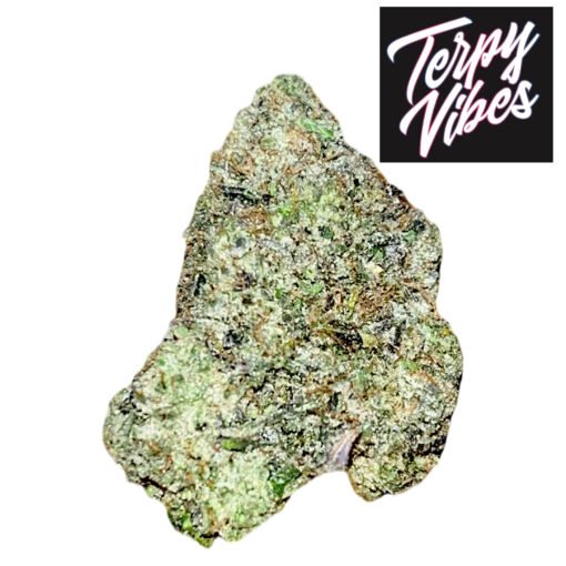 terry vibes lso