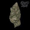 Quadzaza Pink Chapo LSO