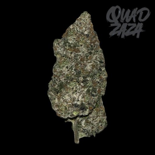 Quadzaza Pink Chapo LSO